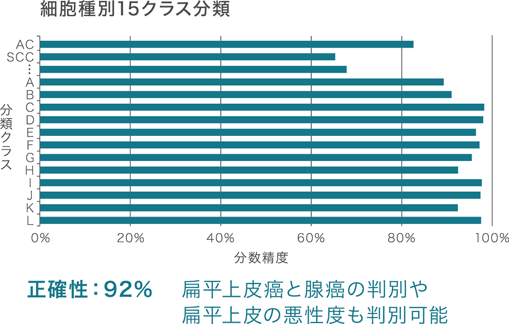 細胞種別15クラス分類 正確性92％