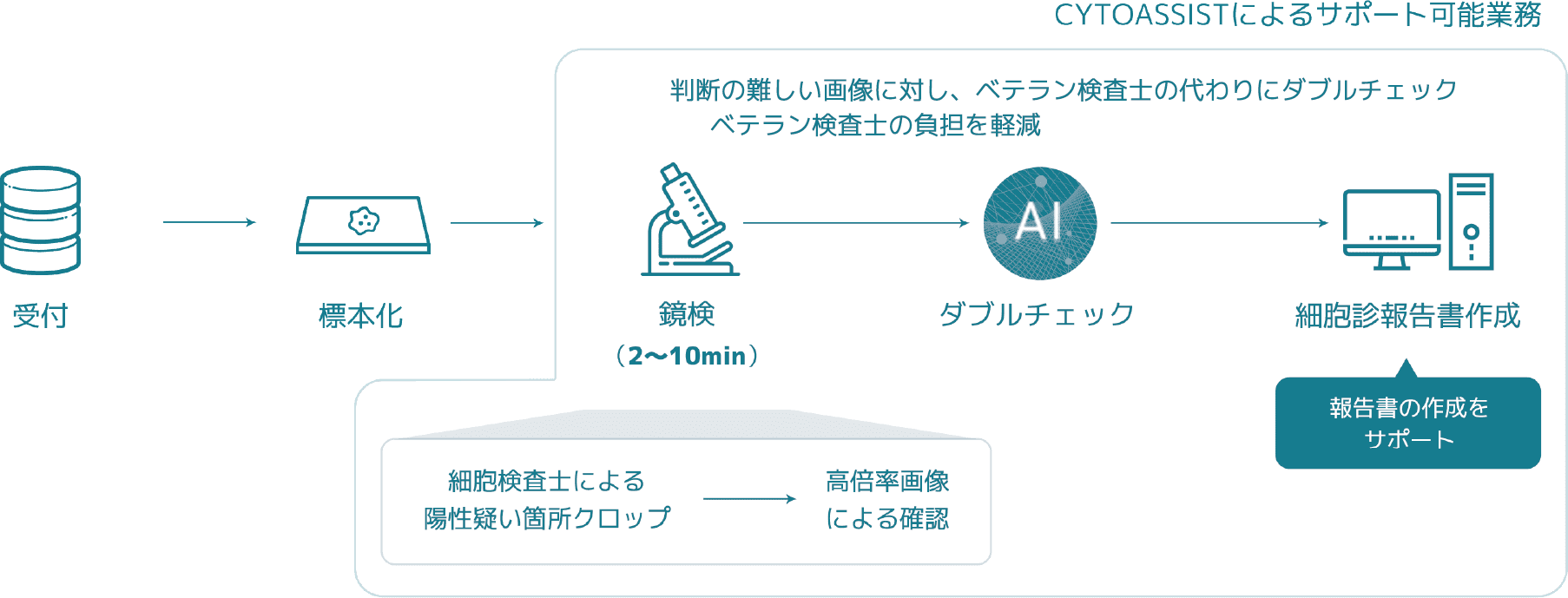 CYTOASSISTによるサポート可能業務の図